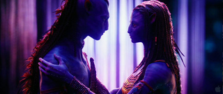 Illustration for article titled Take A Closer Look At The Na'Vi, And Pandora At War